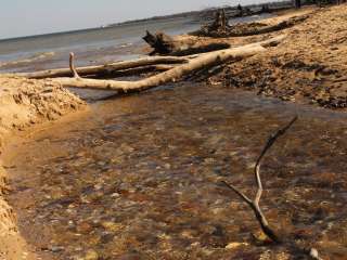 Calvert Cliffs State Park Youth Group Camping