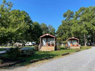 Dennis Point Marina and Campground