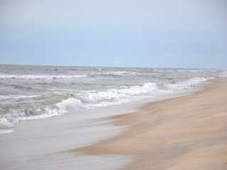 Little Levels Backcountry Site — Assateague Island National Seashore