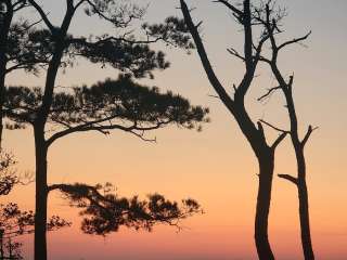 Tingles Island Backcountry Site — Assateague Island National Seashore