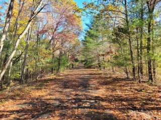 Wompatuck State Park