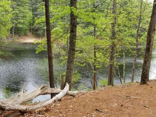 Lorraine Park Campground — Harold Parker State Forest