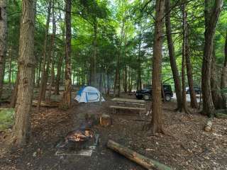 Mt. Greylock Campsite Park