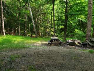 Mount Greylock State Reservation