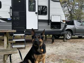 Bay View Campground