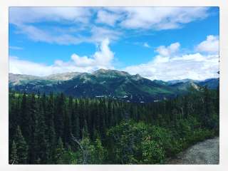 Riley Creek Campground — Denali National Park