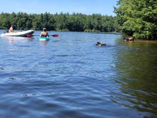 Tolland State Forest