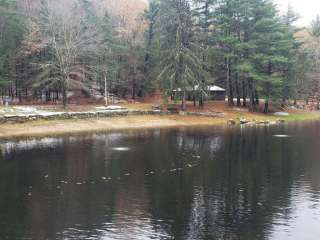 Willard Brook State Forest