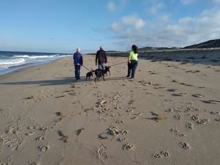 Adventure Bound Cape Cod: Horton's Campground