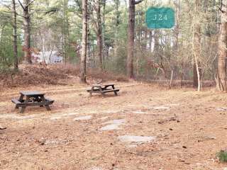 Barretts Pond Campground — Myles Standish State Forest