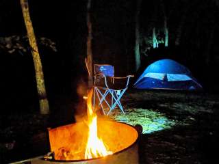 Wellfleet Hollow State Campground (Formerly Paines)