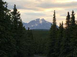 Savage River Campground — Denali National Park