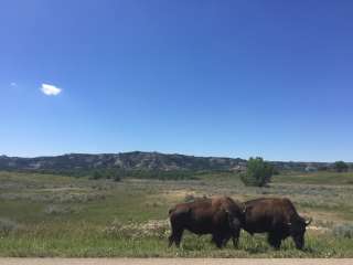 Juniper Campground — Theodore Roosevelt National Park