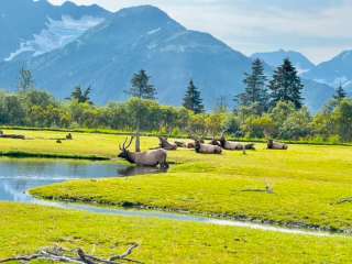 Girdwood Campground