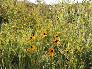 Glacial Lakes State Park