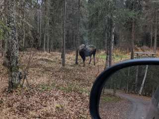 Black Spruce Campground