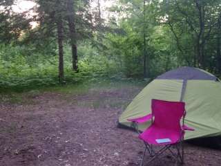 Old Logging Trail — St. Croix State Park