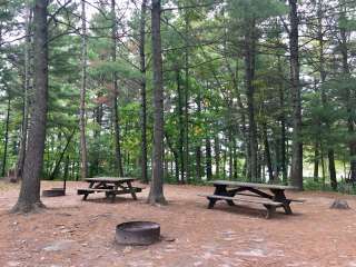 Hungry Man Forest Campground