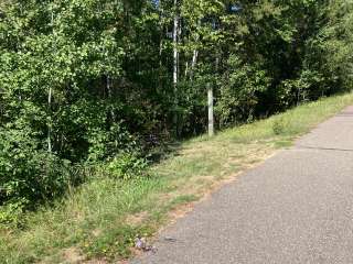 Paul Bunyan Trail Canoe Campsite