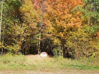 Rum River State Forest Dispersed