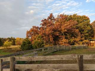 Wild Haven Farm