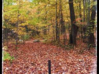 Hay Lake Campground and Day-Use Area