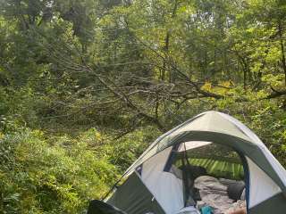 Cannon River Wilderness Area