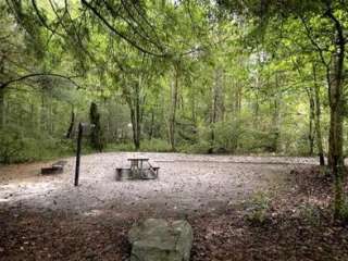 Davidson River Campground