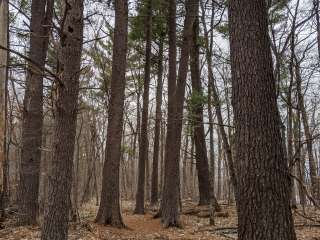 Trade River Equestrian Camp — Governor Knowles State Forest