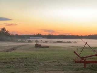 Brno Farm