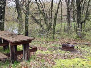 Bullard Bluff Campsite