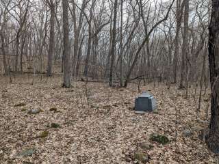 Sandy Cove on the St. Croix River