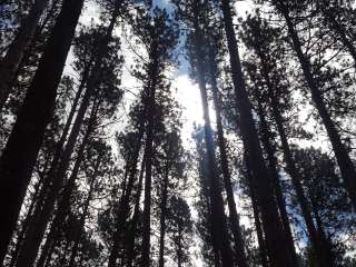 Bear Head Lake State Park