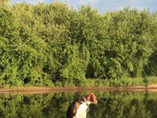 Mcdougal Lake Campground