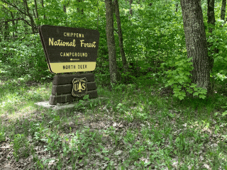 Chippewa National Forest Deer Lake Campground