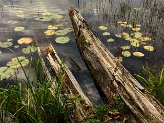 Iron Corner Lake Remote Backpacker Site — Itasca State Park