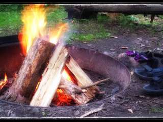 Blackberry  Campsite