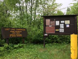 George Washington State Forest Lost Lake campground