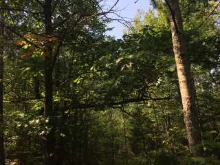 Superior National Forest McDougal Lake Campground