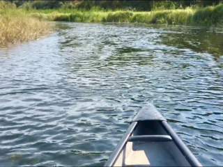 Fox Trap Canoe Campsite