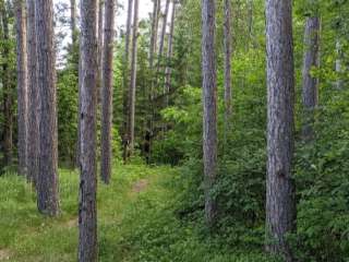 Crazy James Water Trail - Campsite for Paddlers