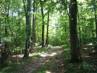 Koochiching State Forest Johnson Landing Campsite