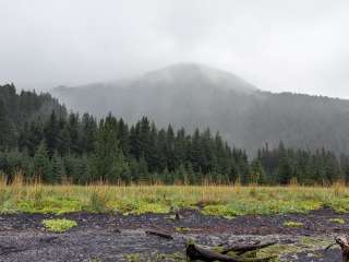 Tonsina Point at Caines Head