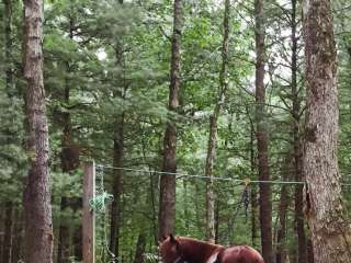 Silver Creek County Park