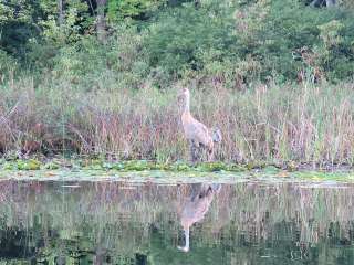 Crooked Lake Campground and RV Park