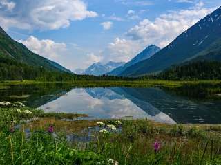 Tern Lake