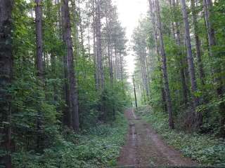 Allegan County Pine Point Campground & Equestrian Park