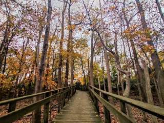 Maumee Bay State Park