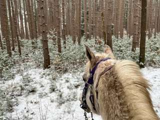 Yankee Springs Equestrian Campground — Yankee Springs Recreation Area