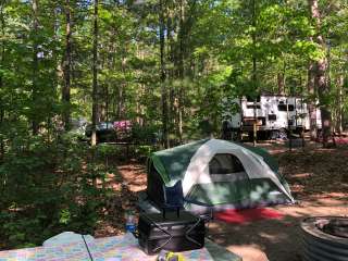 Petoskey State Park